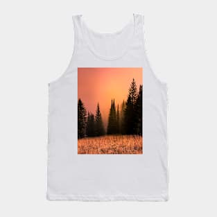 Foggy sunset in redwood forest Tank Top